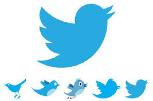 Twitter调查推文创建全攻略,提升互动与数据收集的秘诀-第1张图片-Twitter - Twitter下载【官方网站】 Twitter调查推文创建全攻略,提升互动与数据收集的秘诀-第1张图片-Twitter - Twitter下载【官方网站】